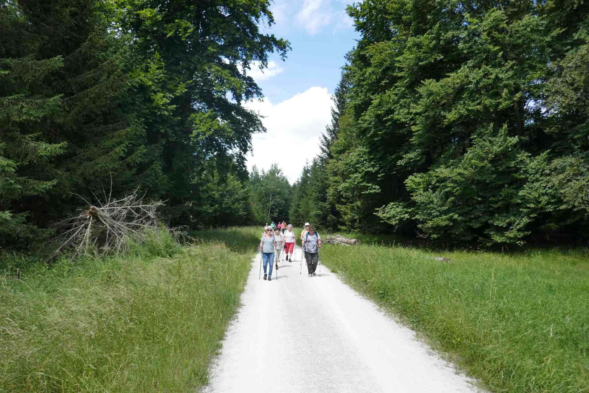 07 Juli - Weiherwiesen bei Tauchenweiler